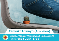 Penyakit Lainnya (Ambeien)