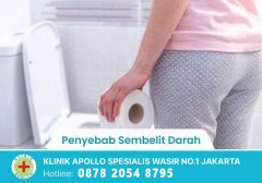 Penyebab Sembelit Darah