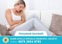 Penyebab Sembelit