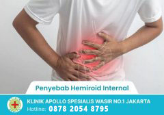 Penyebab Hemiroid Internal
